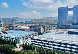 金州区高价花卉种植特产